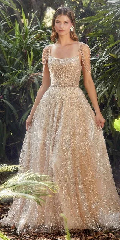 Andrea & Leo A1112 Long Bead Champagne A-Line Gown